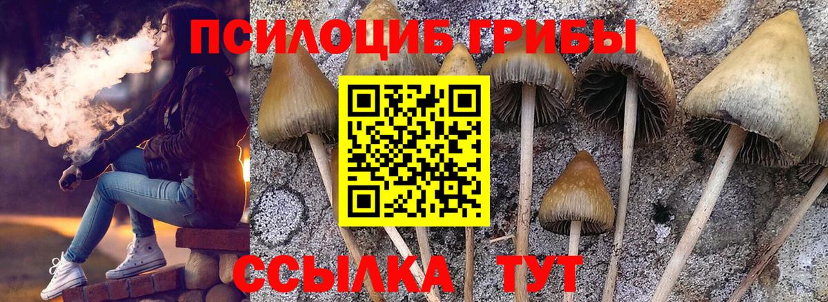 Нефтекумск  Галлюциногенные грибы Magic Shrooms  Вход с VPN 