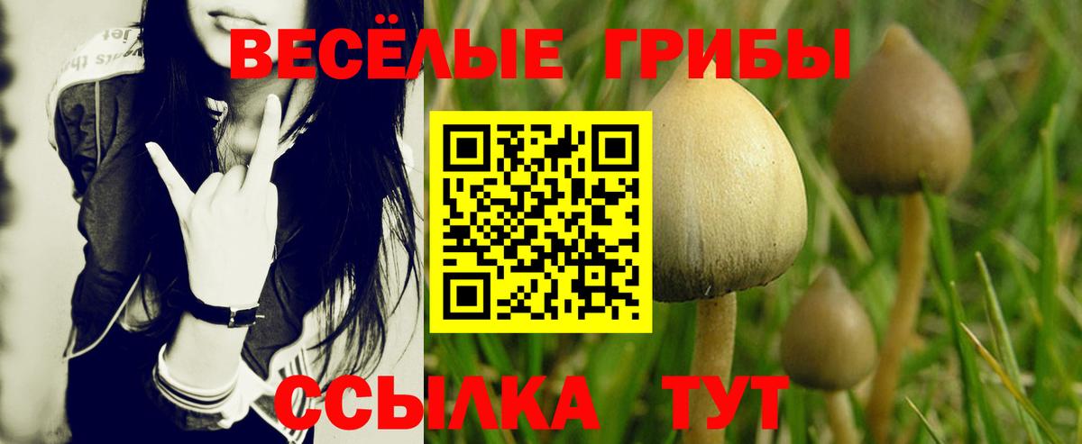Конопля Нефтекумск