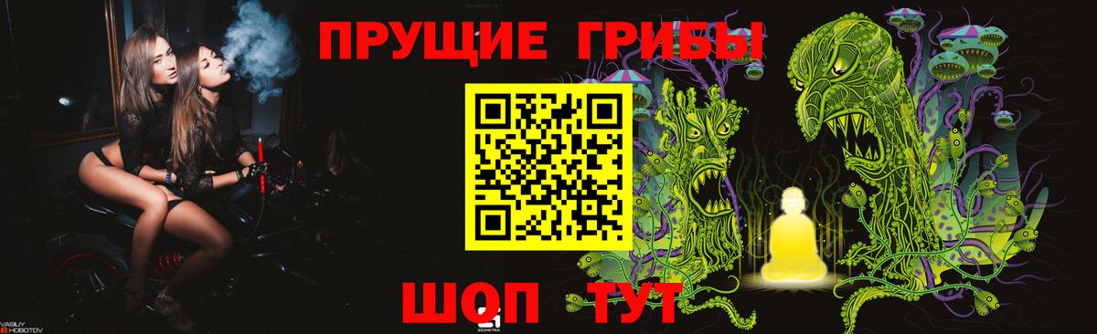 Псилоцибиновые грибы Cubensis Нефтекумск